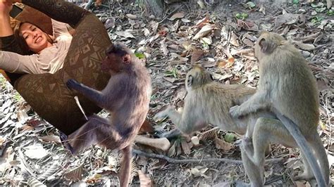 Wildlife Mating Care And Protection Of Rare Animals