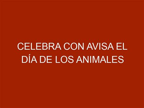 Avisá Los Ou Avisa Los - Celebra con AVISA el Día de los Animales - AVISA Venezuela