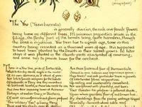 20 Diary of Edwardian lady ideas | edith holden, country diary of an ...