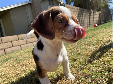 altamed clinic in garden grove ca 6