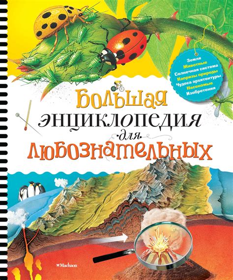 Купить книгу «Большая энциклопедия для любознательных», Роберт Коуп ...