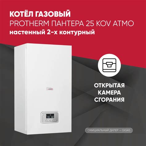 Газовый котел Protherm 25 кВт КOV - купить по выгодной цене в интернет ...
