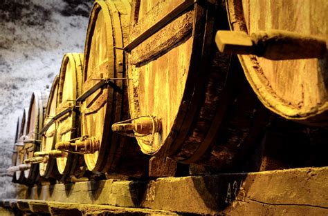 Faustino Rioja: History and Types of Wines | Blog INVINIC