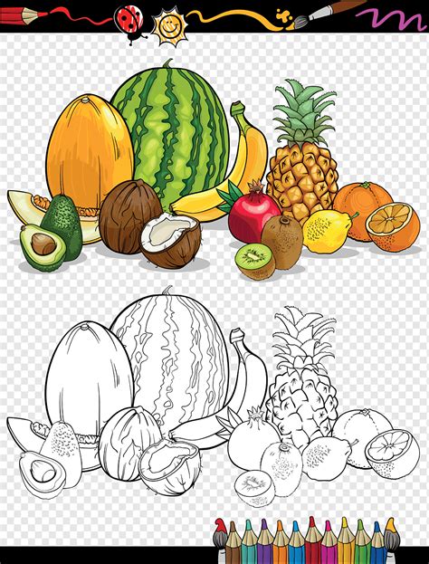 20 Gambar Buah Buahan Sketsa Terlengkap And Mudah Ditiru Semua Ada