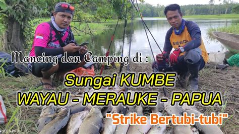 MANCING KAKAP PUTIH SPESIAL STRIKE BERTUBI TUBI DI KALI KUMBE KAMPUNG