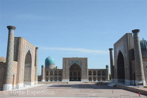 Turtle Expedition » Samarqand, Uzbekistan – July 2014