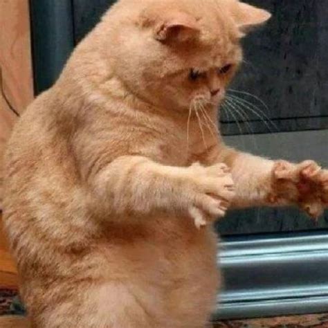 Guy DiSilva Erotic Planet X Porn Videos 2026 XHamster