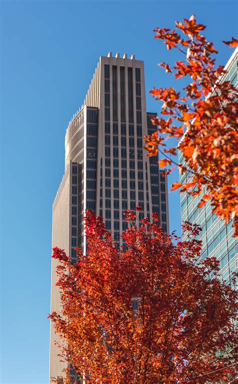 Caught some cool colors downtown last week | Scrolller