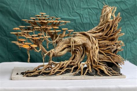 Aquarium Driftwood Bonsai Aquascaping Decor Real Drift Wood For Fish