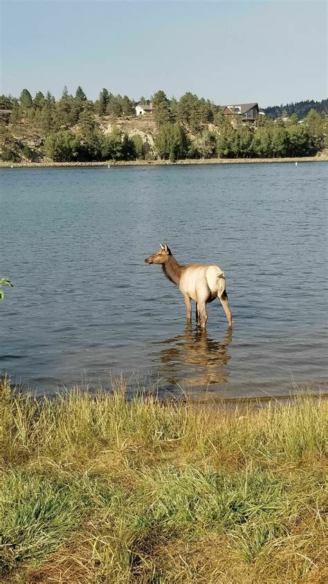 Photos of Dream Lake Trail - Colorado | AllTrails