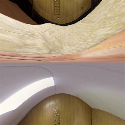 Greedy Anal Lesbian Pet