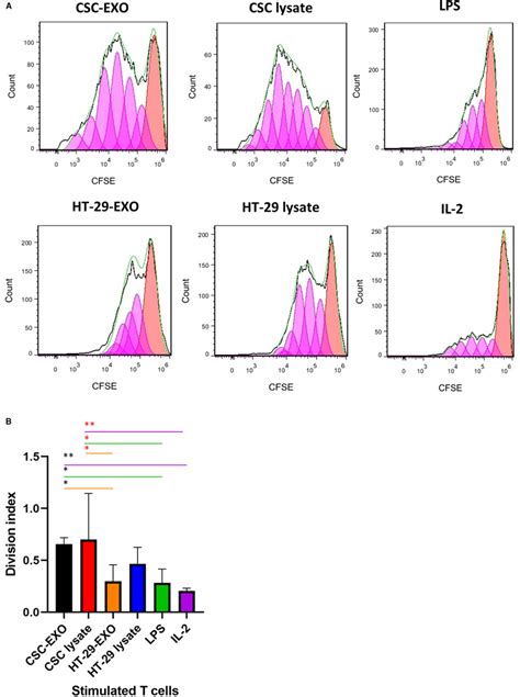 The Proliferation Of Primed T Cells In Coculture With Mature DCs