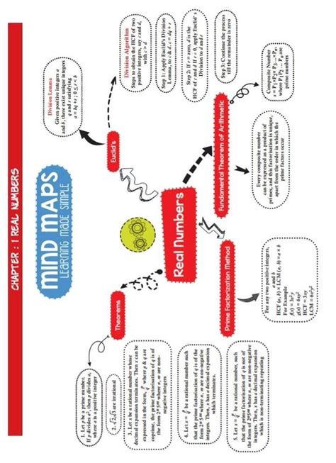 Cbse Class 10 Mind Map Of Chapter 1 Real Numbers