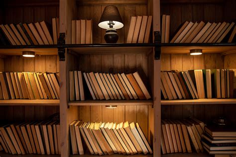 How to Choose the Perfect Bookshelf LED Light – EShine