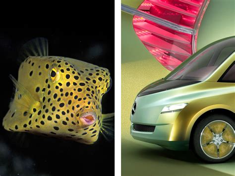 14 Smart Inventions Inspired By Nature Biomimicry Bloomberg Business