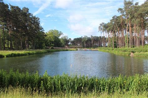 Center Parcs Woburn Forest Activities and Entertainment Review