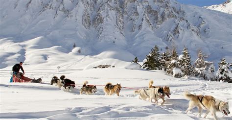 Faire du chien de traîneaux