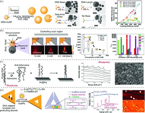 Sers Sensors Based On The Aunp Dna Hybrids A Core Shell Gerts With