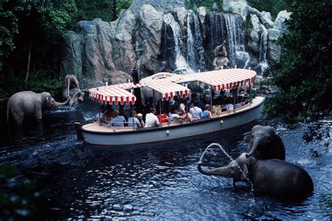 Everything You Need To Know About The Jungle Cruise Blog