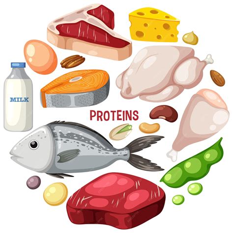 Premium Vector Variety Of Protein Meats With Text