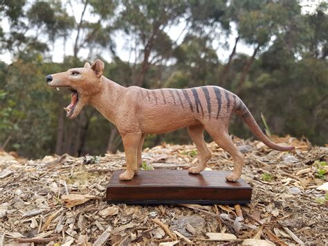 Neil Waters | Thylacine Awareness Group | Aussie Wildlife Show