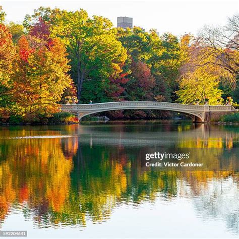 2,118 Central Park Bridges Stock Photos, High-Res Pictures, and Images ...