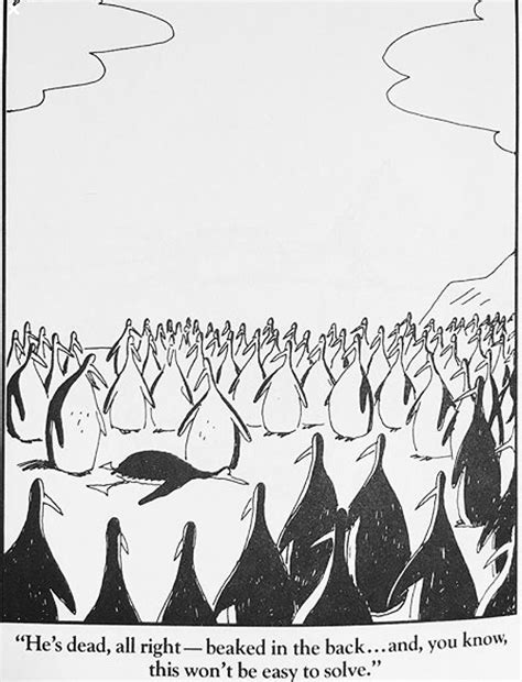 Pin On Far Side