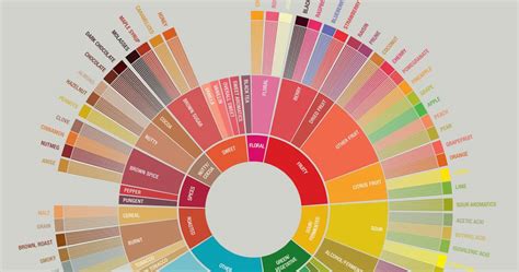 Coffee Flavortaste Wheel Planet Coffee Roasters