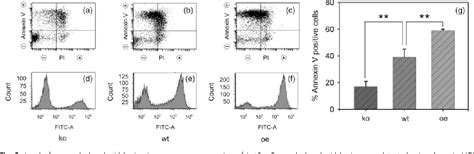 Figure 2 From The Redox Sensing Quinone Reductase Lot6p Acts As An