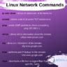 Top Network Commands In Linux Arp Route Ip Netstat Dig