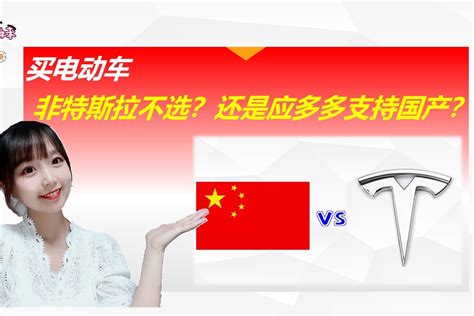 都来说说，如果买电动车，你会选择特斯拉还是国产品牌？为什么？凤凰网视频凤凰网