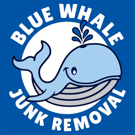 Junk Hauling & Dumpsters | Blue Whale Tampa FL