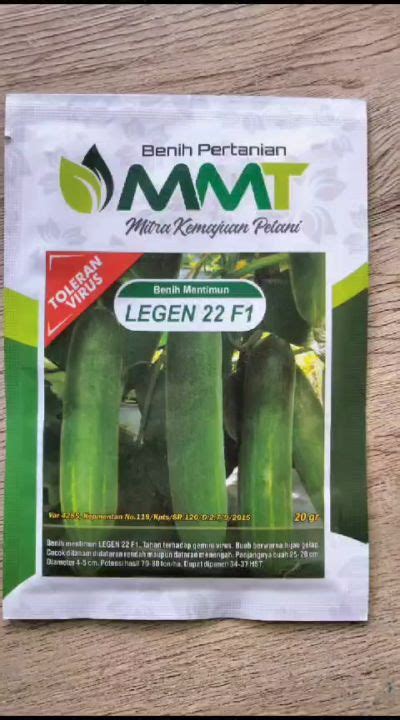 Benih Timun LEGEN 22 F1 Lalap MMT Seed 20 Gram Ketimun Bibit Mentimun