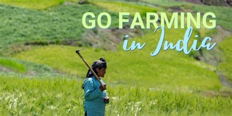 Help Develop Organic Farming In India As A Volunteer