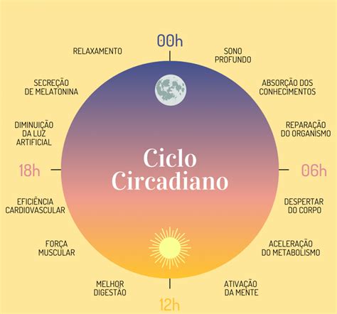 Ciclo Circadiano entenda o que é e sua importância