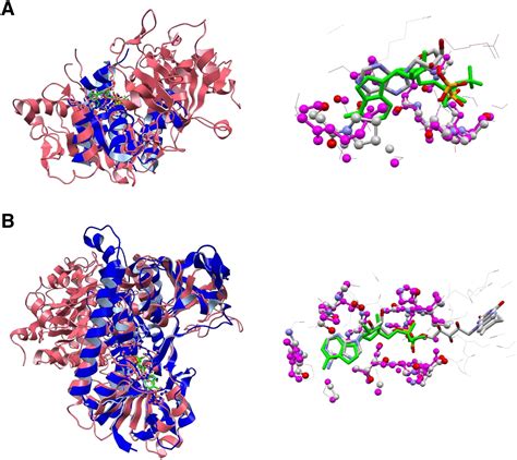 Comprehensive Structural Classification Of Ligand Binding Motifs In