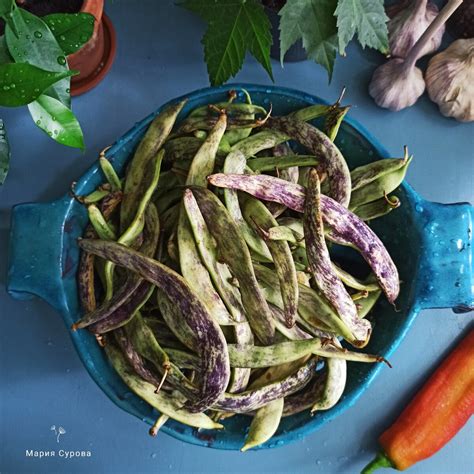 Как быстро и вкусно приготовить свежую или замороженную стручковую ...