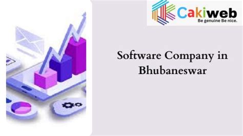 Software Company In Bhubaneswar Cakiweb Flip PDF AnyFlip