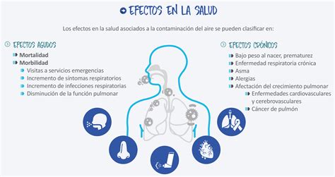 Contaminacion Del Aire Y Su Impacto En La Salud Respiratoria Nbkomputer