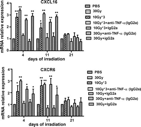 Tumor Irradiation Increases Cxcl And Cxcr Mrnas Expression