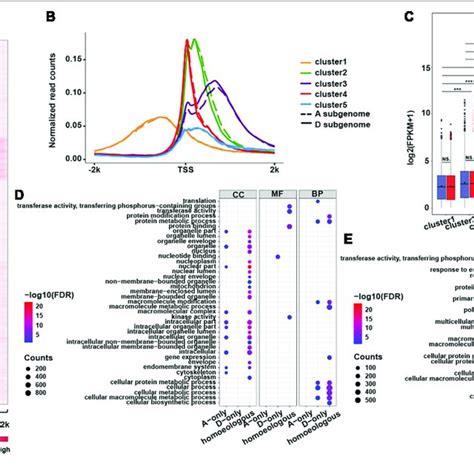 Distribution Of H3k4me3 Mark Around Tsss Of The Genes In Two