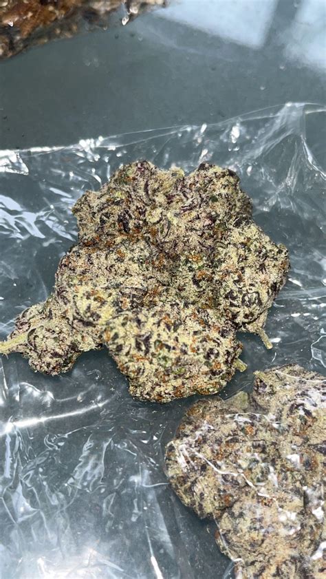 Absolutely insane : r/ausents