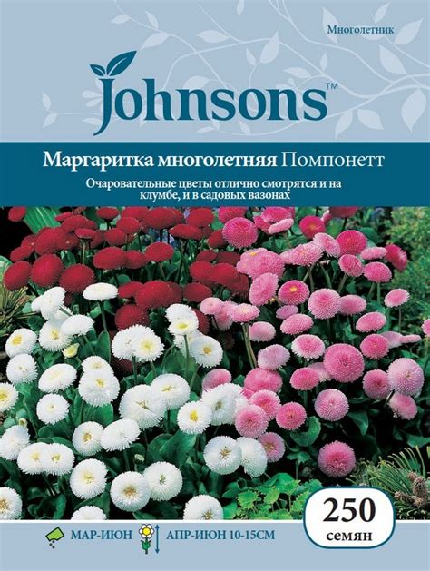 Купить семена Маргаритка многолетняя Помпонетт в магазине Первые Семена ...