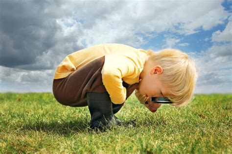 La curiosité cest bon pour la santé Alternative Santé