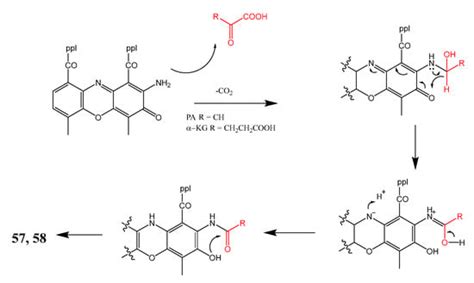 Marine Drugs Free Full Text Secondary Metabolites From Marine