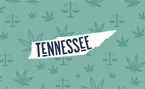 Understanding Tennessee Cannabis Laws: A Comprehensive Guide - The
