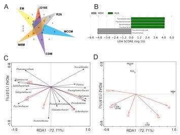 Comparison Of The Diversity Of Cultured And Total Bacterial Communities