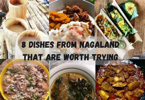 Nagaland - World Group Solutions