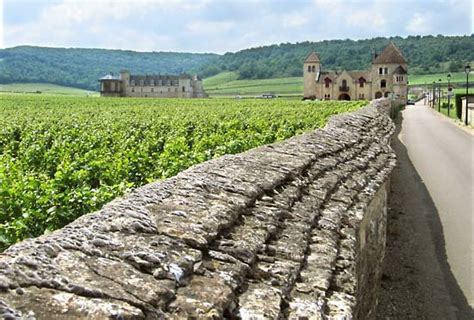 wine tasting vineyards  france burgundy wine route