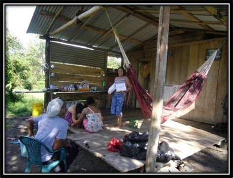 Guyana Sex Work Coalition GSWC Global Network Of Sex Work Projects